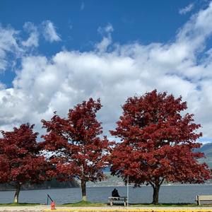 Meet your Posher, Jo-anne